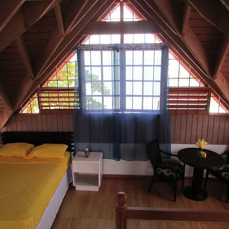 Ocho Rios Villa At Coolshade IV Saint Annʼs Bay エクステリア 写真