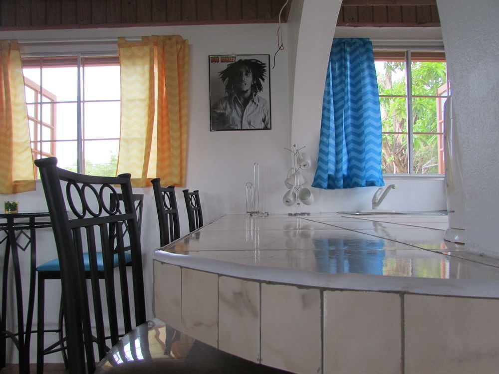 Ocho Rios Villa At Coolshade IV Saint Annʼs Bay エクステリア 写真