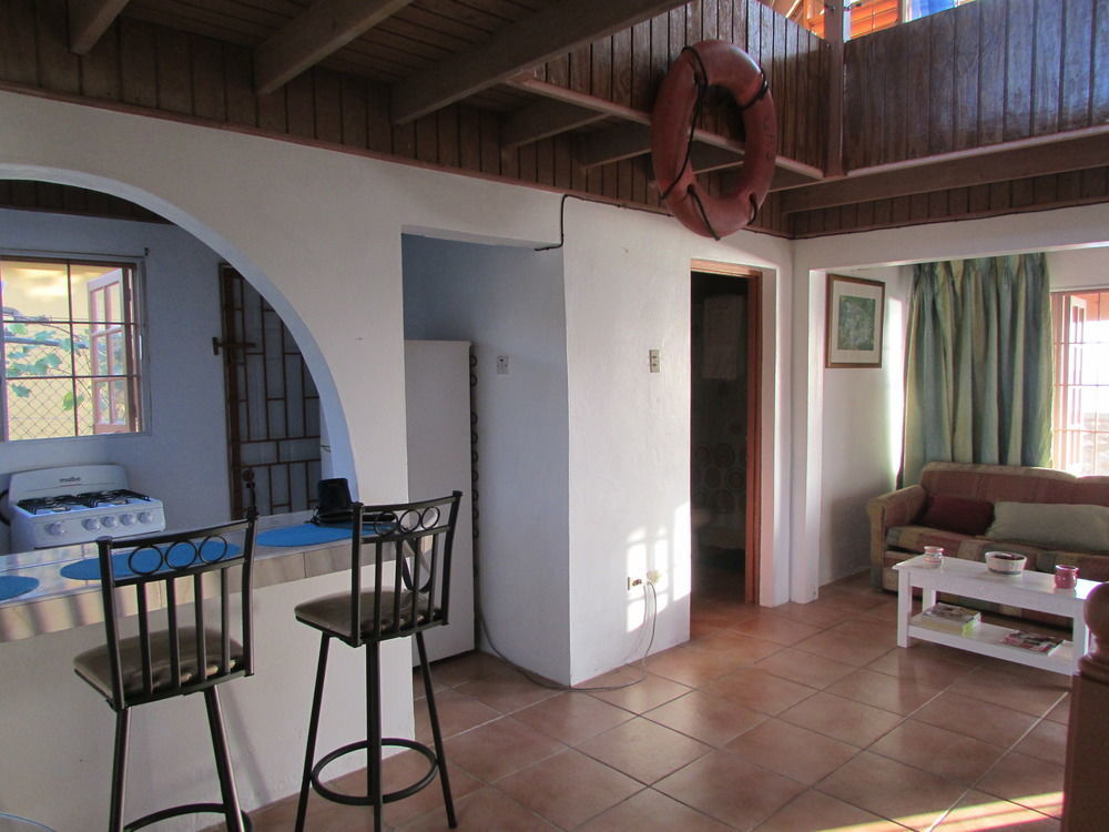 Ocho Rios Villa At Coolshade IV Saint Annʼs Bay エクステリア 写真